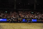 Extreme - 00909